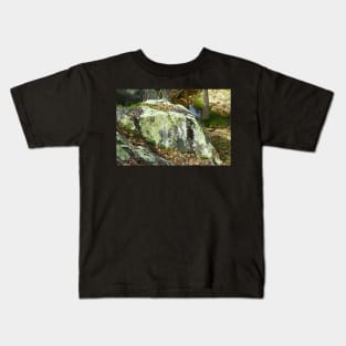 Boulder with lichen Kids T-Shirt